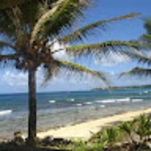 Meet your Posher, Rosie